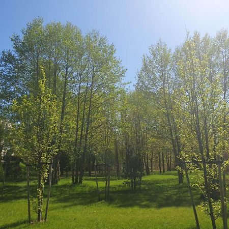 Apartament 3 Pokojowy Lub Pokoj W Mieszkaniu W Nowym Bloku Варшава Экстерьер фото