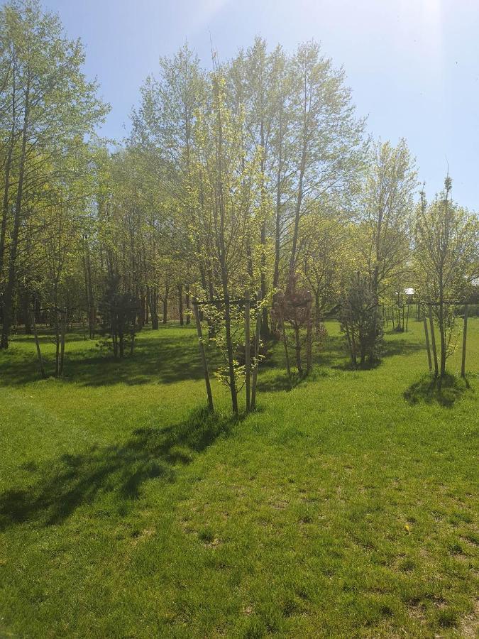Apartament 3 Pokojowy Lub Pokoj W Mieszkaniu W Nowym Bloku Варшава Экстерьер фото